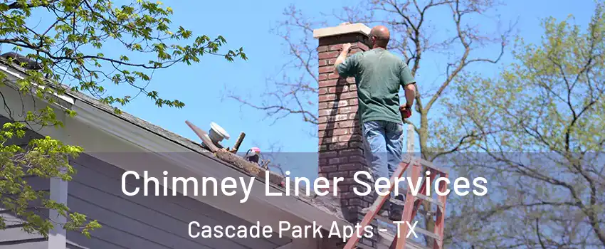 Chimney Liner Services Cascade Park Apts - TX