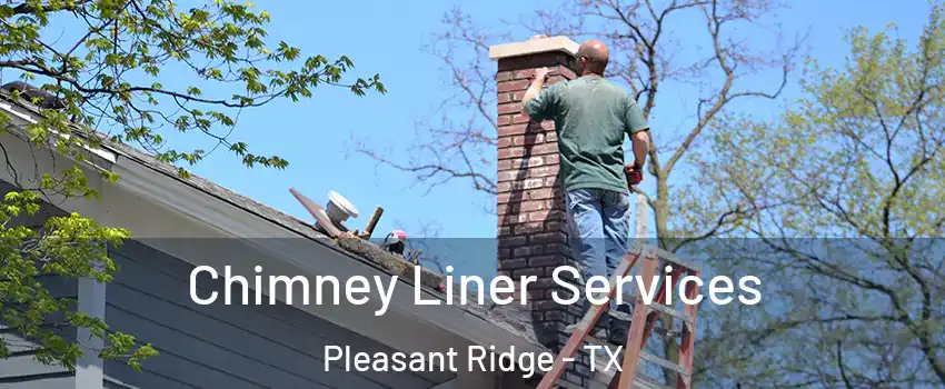 Chimney Liner Services Pleasant Ridge - TX