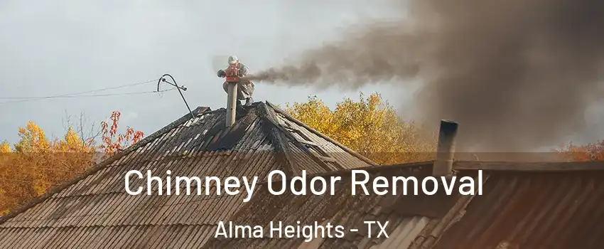 Chimney Odor Removal Alma Heights - TX