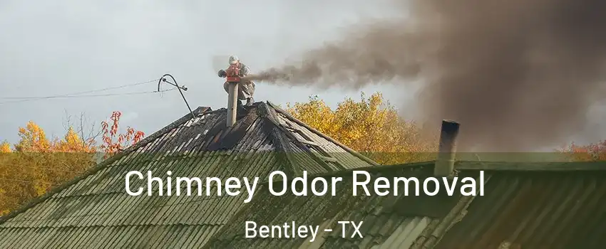 Chimney Odor Removal Bentley - TX