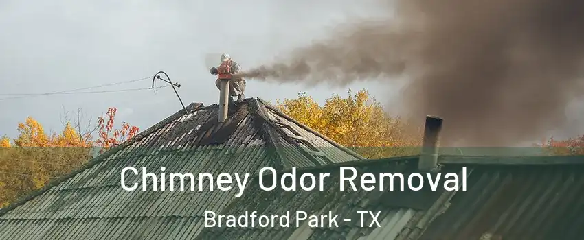 Chimney Odor Removal Bradford Park - TX