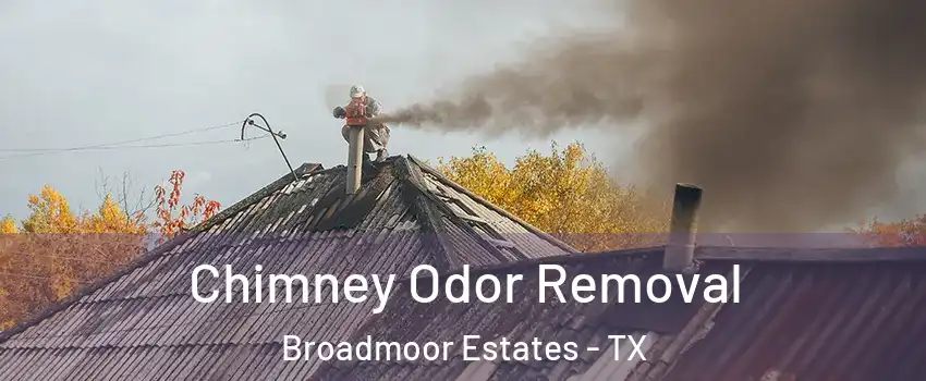 Chimney Odor Removal Broadmoor Estates - TX