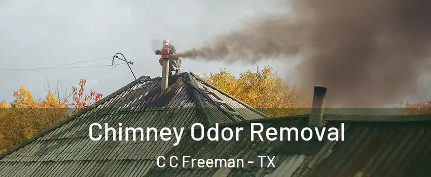Chimney Odor Removal C C Freeman - TX