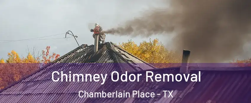 Chimney Odor Removal Chamberlain Place - TX