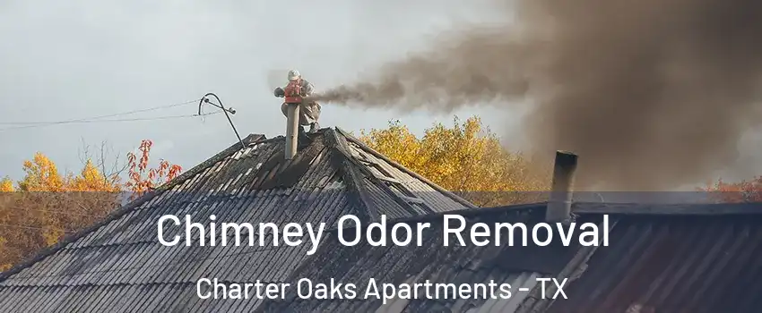 Chimney Odor Removal Charter Oaks Apartments - TX