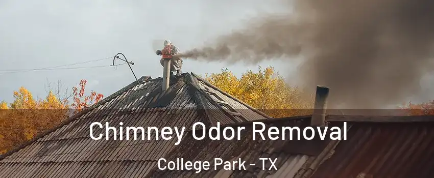 Chimney Odor Removal College Park - TX