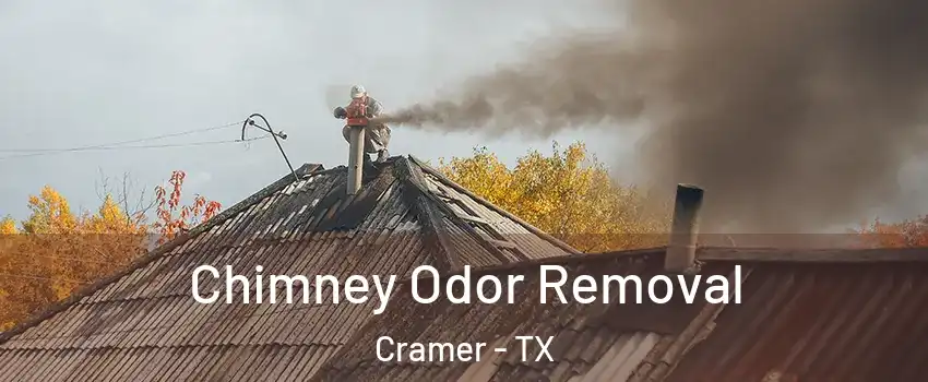 Chimney Odor Removal Cramer - TX