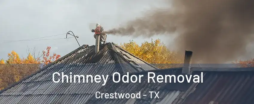 Chimney Odor Removal Crestwood - TX
