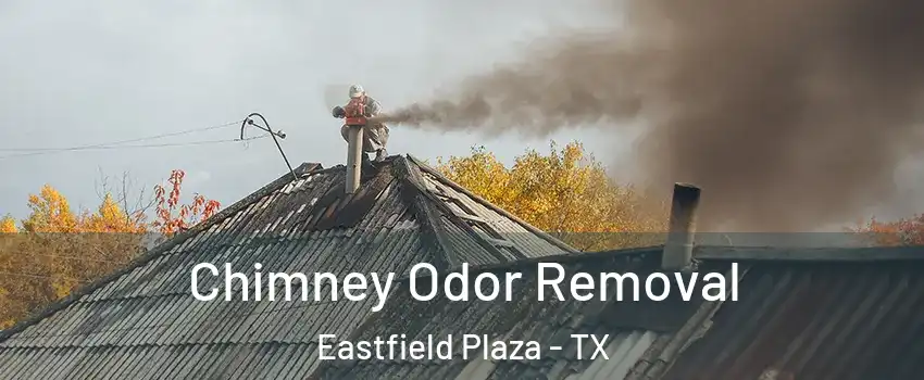 Chimney Odor Removal Eastfield Plaza - TX