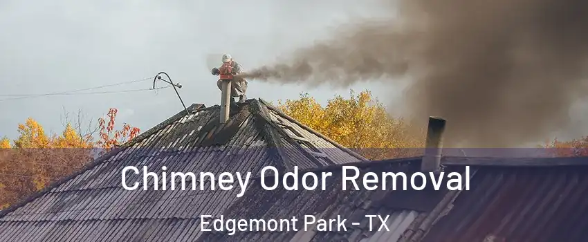 Chimney Odor Removal Edgemont Park - TX