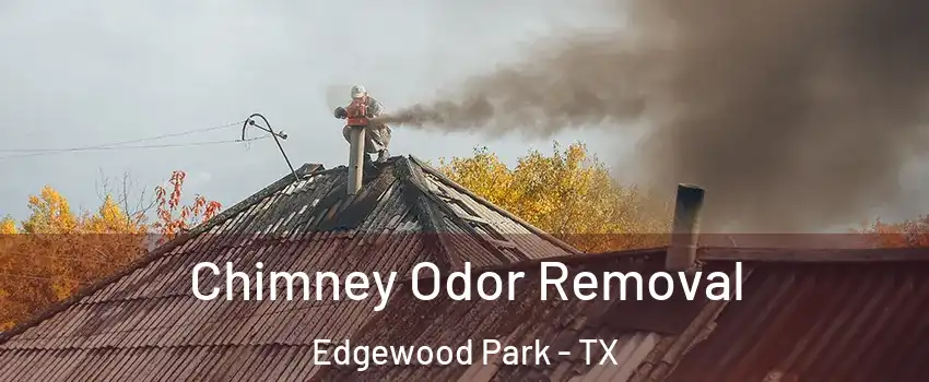Chimney Odor Removal Edgewood Park - TX