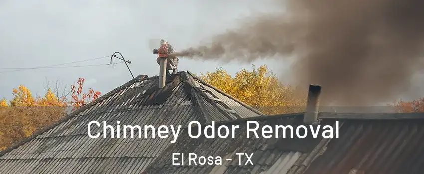 Chimney Odor Removal El Rosa - TX