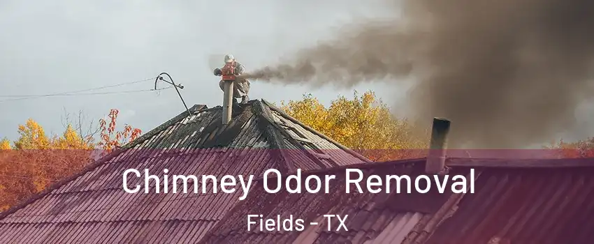 Chimney Odor Removal Fields - TX