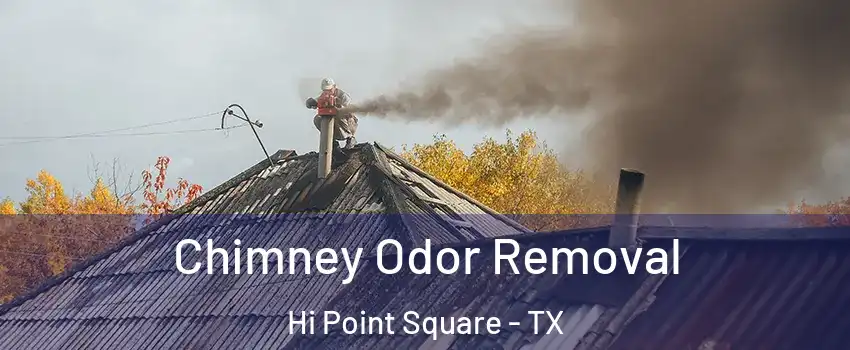 Chimney Odor Removal Hi Point Square - TX