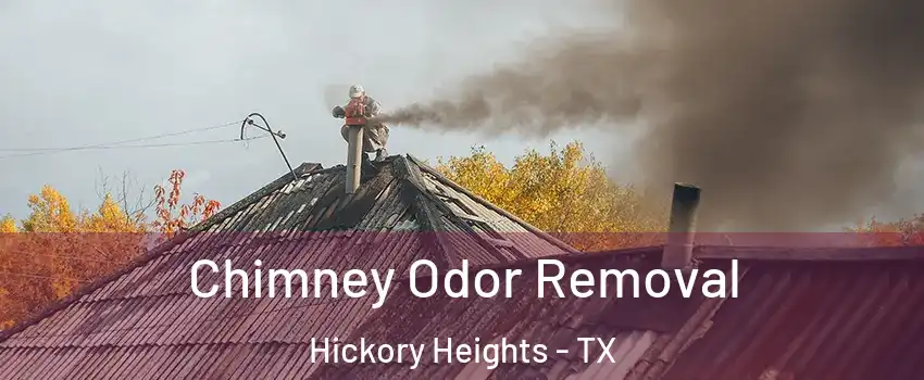 Chimney Odor Removal Hickory Heights - TX