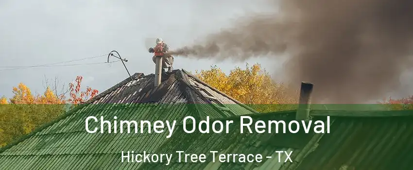 Chimney Odor Removal Hickory Tree Terrace - TX