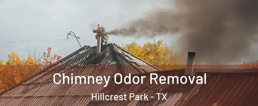 Chimney Odor Removal Hillcrest Park - TX