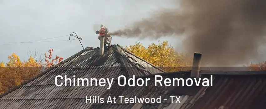 Chimney Odor Removal Hills At Tealwood - TX