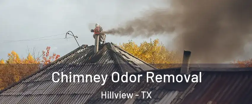 Chimney Odor Removal Hillview - TX