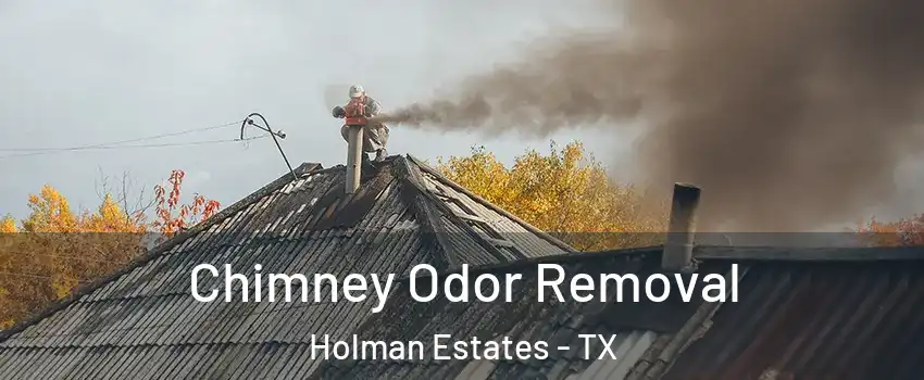 Chimney Odor Removal Holman Estates - TX