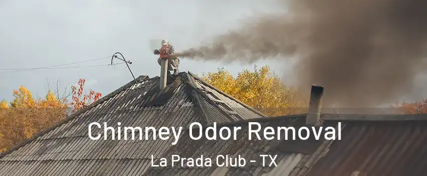 Chimney Odor Removal La Prada Club - TX