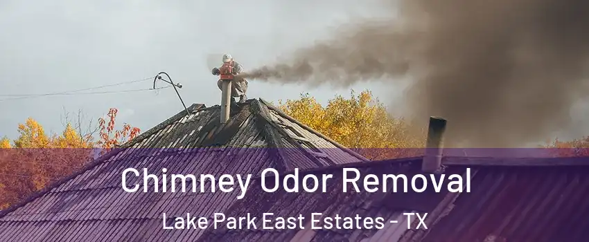 Chimney Odor Removal Lake Park East Estates - TX