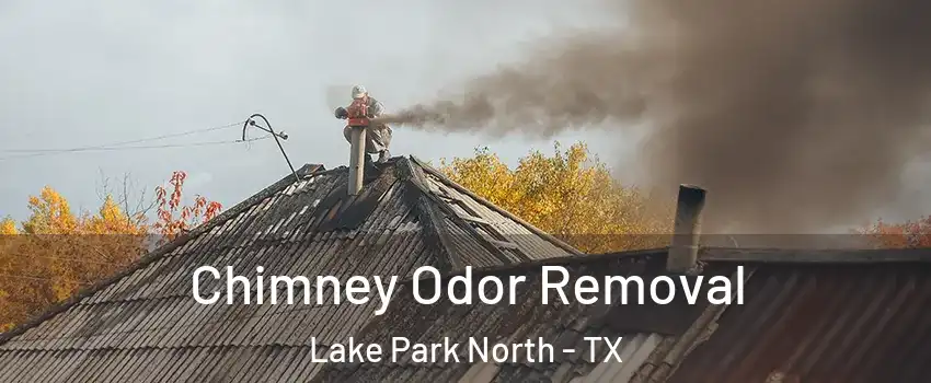 Chimney Odor Removal Lake Park North - TX