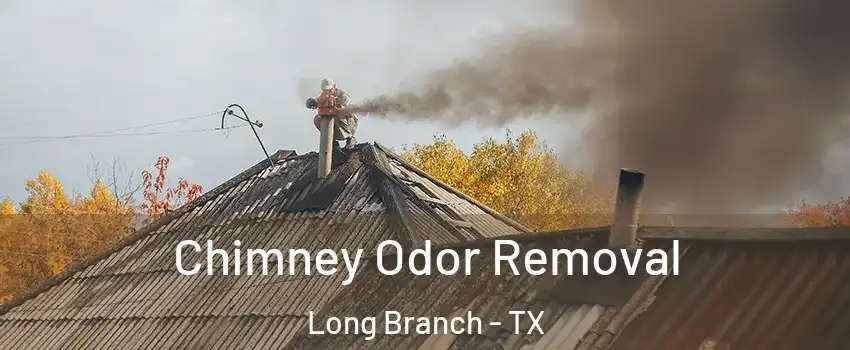 Chimney Odor Removal Long Branch - TX