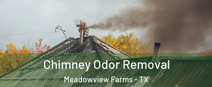 Chimney Odor Removal Meadowview Farms - TX