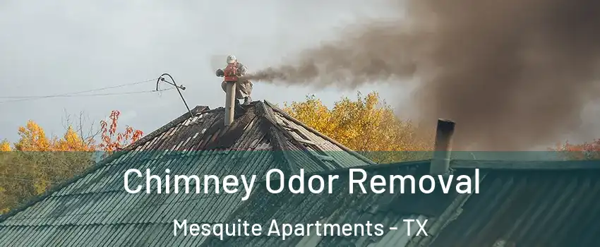Chimney Odor Removal Mesquite Apartments - TX