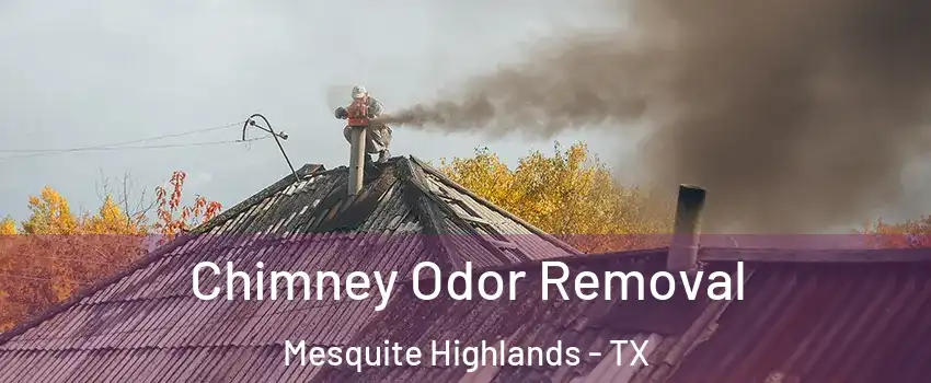 Chimney Odor Removal Mesquite Highlands - TX