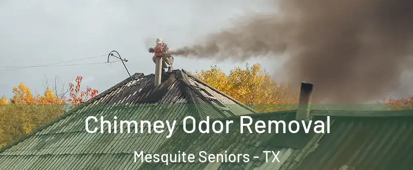 Chimney Odor Removal Mesquite Seniors - TX