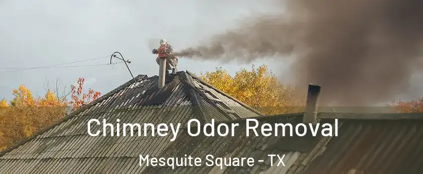 Chimney Odor Removal Mesquite Square - TX
