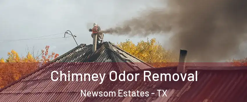 Chimney Odor Removal Newsom Estates - TX