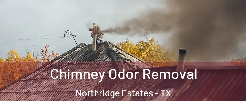 Chimney Odor Removal Northridge Estates - TX