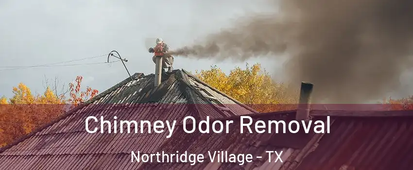 Chimney Odor Removal Northridge Village - TX