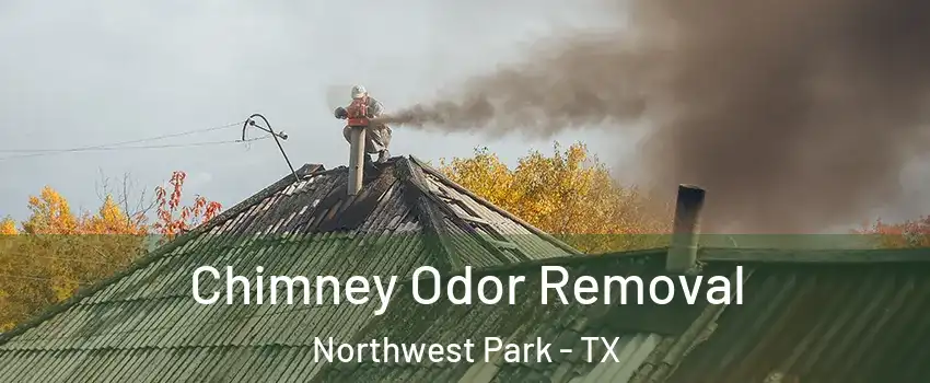 Chimney Odor Removal Northwest Park - TX