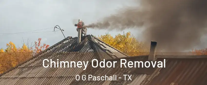 Chimney Odor Removal O G Paschall - TX