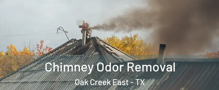 Chimney Odor Removal Oak Creek East - TX