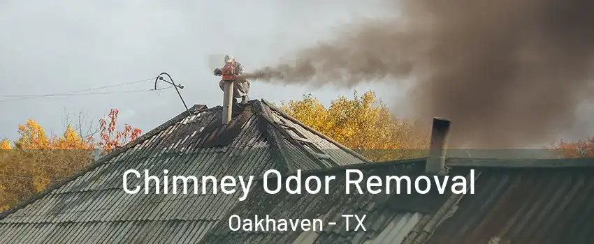 Chimney Odor Removal Oakhaven - TX