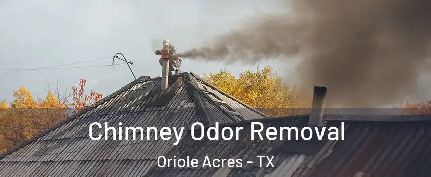 Chimney Odor Removal Oriole Acres - TX