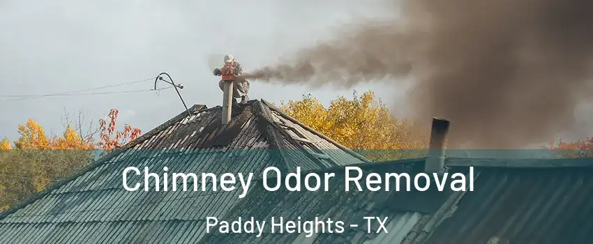 Chimney Odor Removal Paddy Heights - TX
