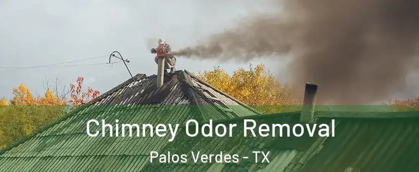 Chimney Odor Removal Palos Verdes - TX