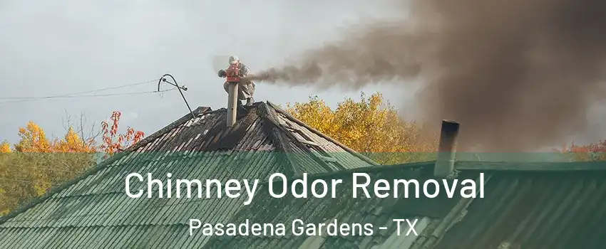 Chimney Odor Removal Pasadena Gardens - TX