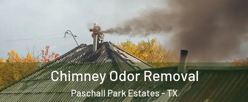 Chimney Odor Removal Paschall Park Estates - TX