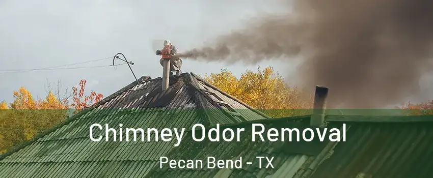 Chimney Odor Removal Pecan Bend - TX