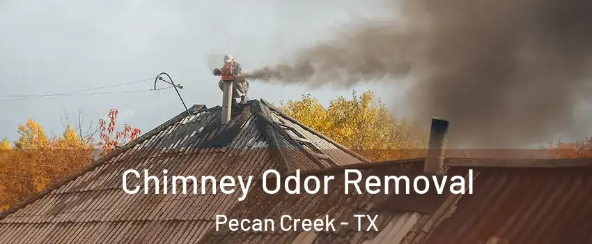 Chimney Odor Removal Pecan Creek - TX