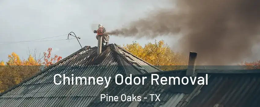 Chimney Odor Removal Pine Oaks - TX