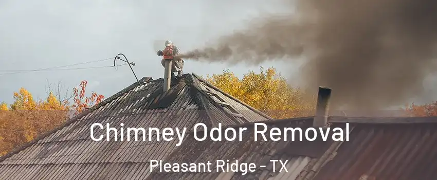 Chimney Odor Removal Pleasant Ridge - TX