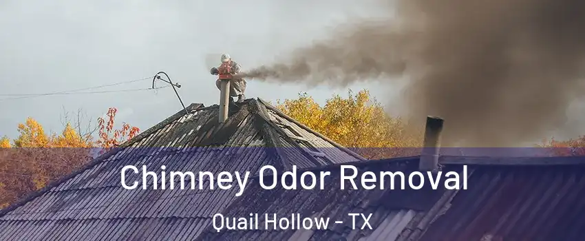 Chimney Odor Removal Quail Hollow - TX